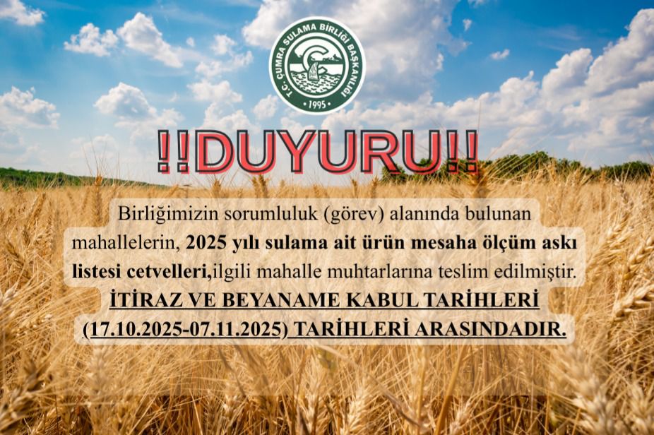 WhatsApp Image 2025-10-17 at 16-53-10